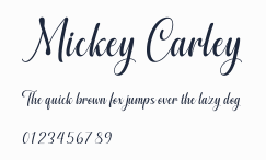 Mickey Carley預覽圖