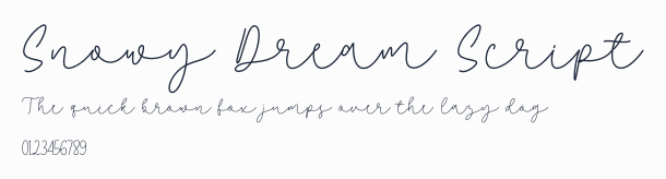 Snowy Dream Script預覽圖