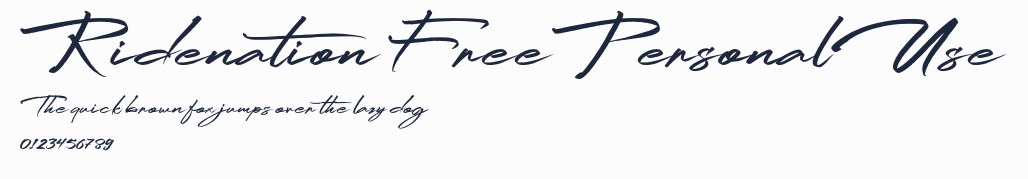 Ridenation FreePersonalUse預覽圖