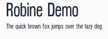Robine Demo預覽圖