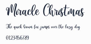 Miracle Christmas預覽圖