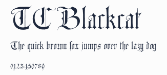 TC Blackcat預覽圖