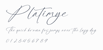 Platimye預覽圖