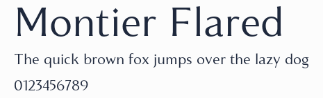 Montier Flared預覽圖