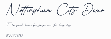 Nottingham City Demo預覽圖