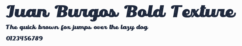 Juan Burgos Bold Texture預覽圖