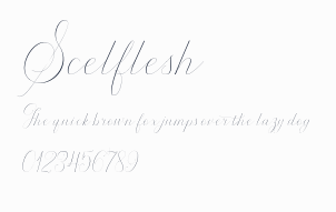 Scelflesh預覽圖