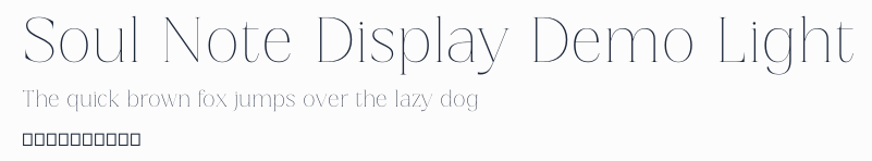 Soul Note Display Demo Light預覽圖