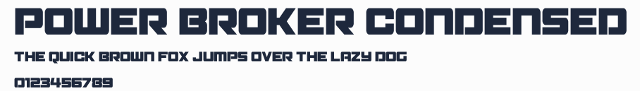 Power Broker Condensed預覽圖