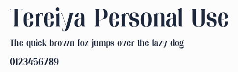 Tereiya Personal Use預覽圖