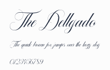 The Dellgado預覽圖