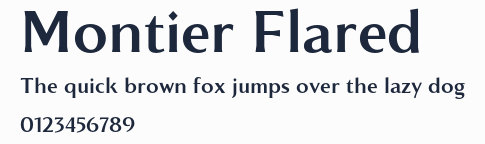 Montier Flared預覽圖