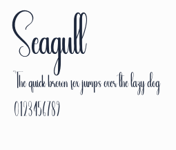 Seagull預覽圖