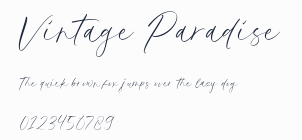 Vintage Paradise預覽圖