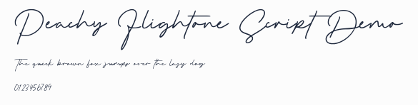 Peachy Flightone Script Demo預覽圖