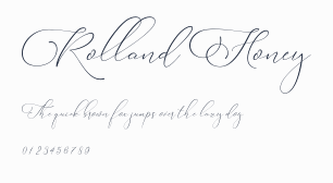Rolland Honey預覽圖