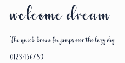 welcome dream預覽圖
