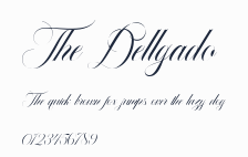 The Dellgado預覽圖
