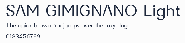 SAM GIMIGNANO Light預覽圖