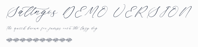 Saltngos DEMO VERSION預覽圖