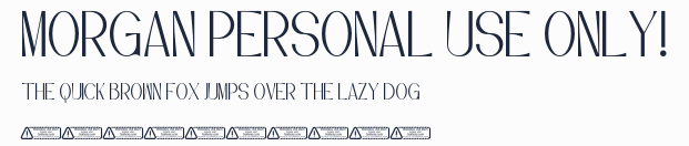 Morgan PERSONAL USE ONLY!預覽圖