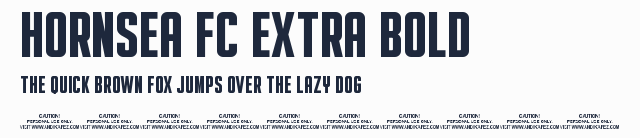 HORNSEA FC EXTRA BOLD預覽圖