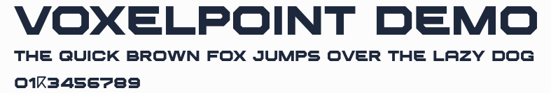 VOXELPOINT Demo預覽圖