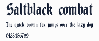 Saltblack combat預覽圖