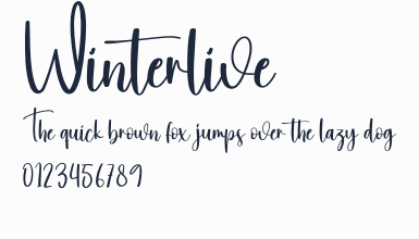Winterlive預覽圖