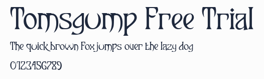 Tomsgump Free Trial預覽圖