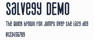 Salvegy DEMO預覽圖