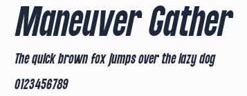Maneuver Gather預覽圖