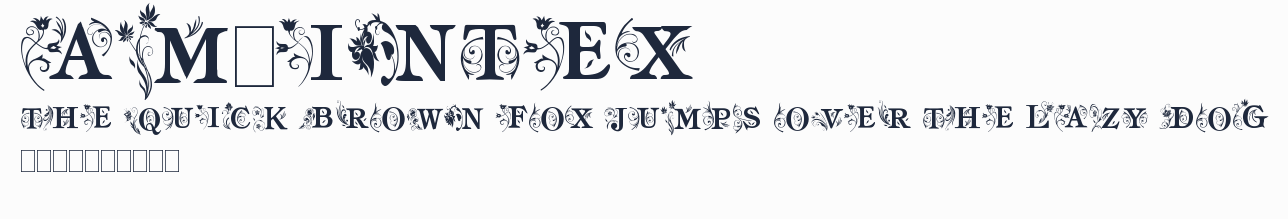 am_intex預覽圖