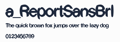 a_ReportSansBrl預覽圖