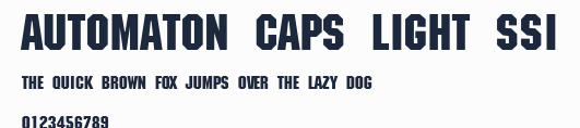 Automaton Caps Light SSi預覽圖