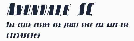 Avondale SC預覽圖