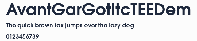 AvantGarGotItcTEEDem預覽圖