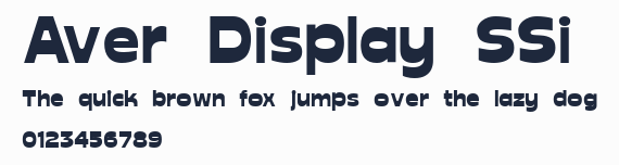 Aver Display SSi預覽圖