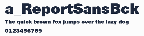 a_ReportSansBck預覽圖