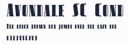Avondale SC Cond預覽圖