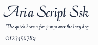 Aria Script Ssk預覽圖