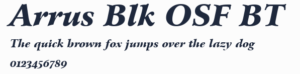 Arrus Blk OSF BT預覽圖