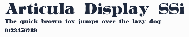 Articula Display SSi預覽圖