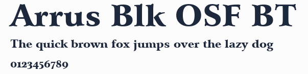 Arrus Blk OSF BT預覽圖