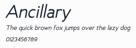 Ancillary預覽圖