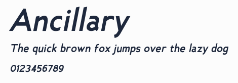 Ancillary預覽圖