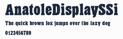AnatoleDisplaySSi預覽圖