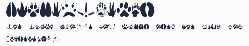 AnimalTracks預覽圖