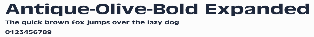 Antique-Olive-Bold Expanded預覽圖