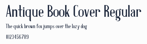 Antique Book Cover Regular預覽圖